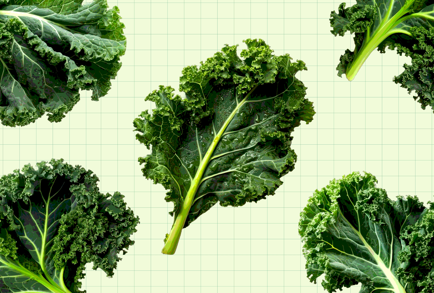 Health Benefits of Kale, Nutrition Info and Recipes