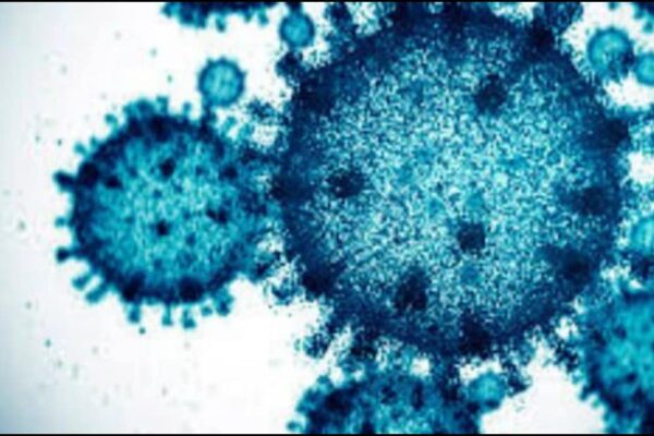 Which Countries Are Reporting Surge In Covid-19 Cases? Should You Travel To These Countries? News18