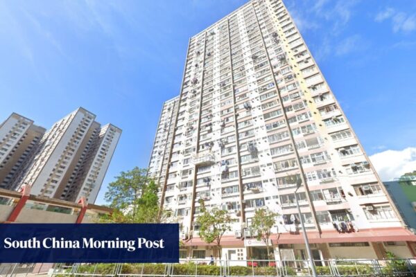 Hong Kong may redefine ‘high-risk carer’ after girl found in flat with dead mum