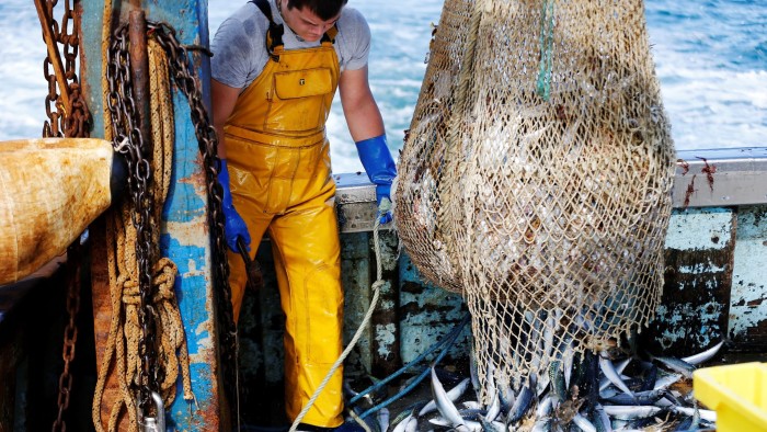 Fisherman on a trawler releases a large net of mackerel onto the boat deck