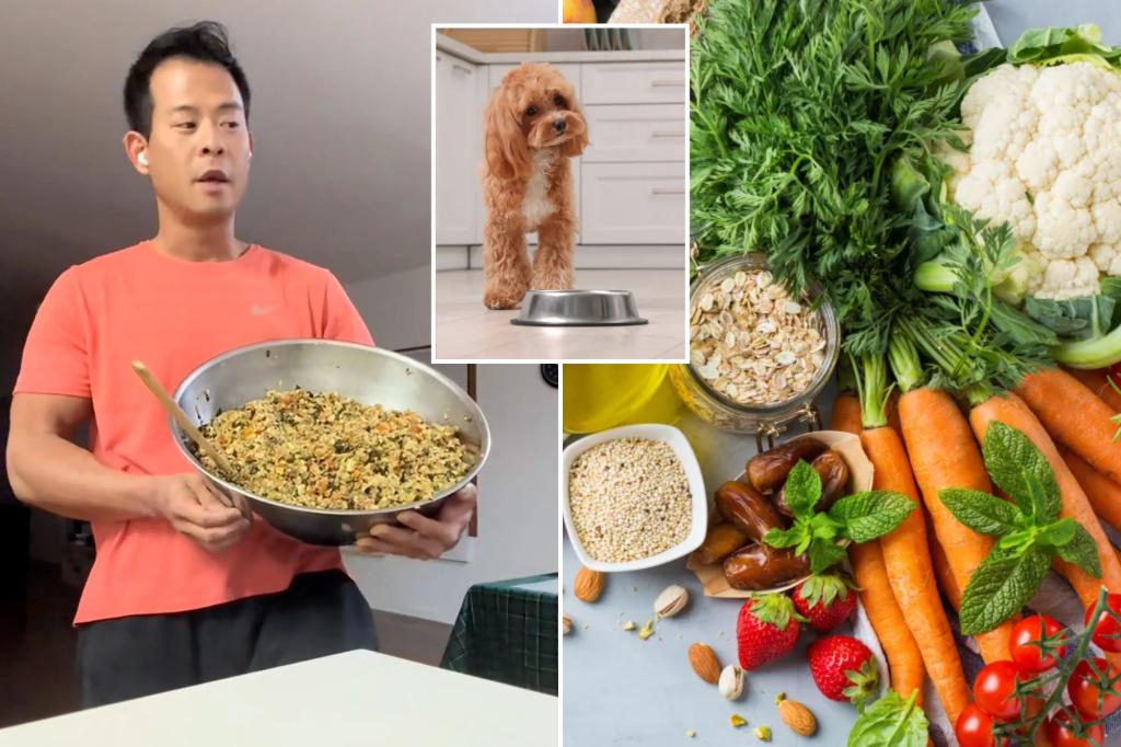 Is 'human kibble' the easiest health hack? Dietitian weighs in on viral trend