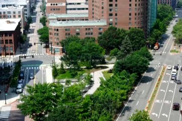 How to keep cool in extreme urban heat
