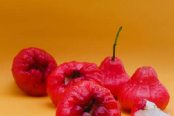 Rose Apple Benefits: ​10 reasons to eat rose apple (health benefits inside)​