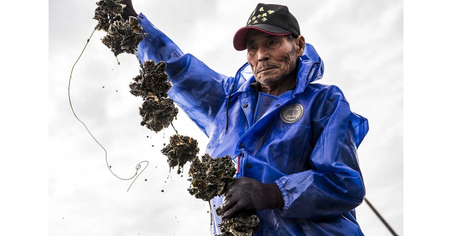 Creative Tech Textile's Seawool® Opens New Horizons for Sustainable Fashion