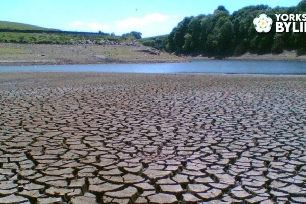 Climate change makes Saturday’s dangerous 32°C day in England 100 times more likely
