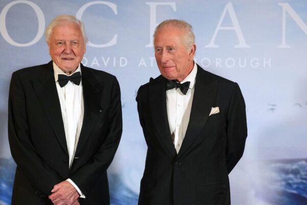How to watch Ocean with David Attenborough on Disney+