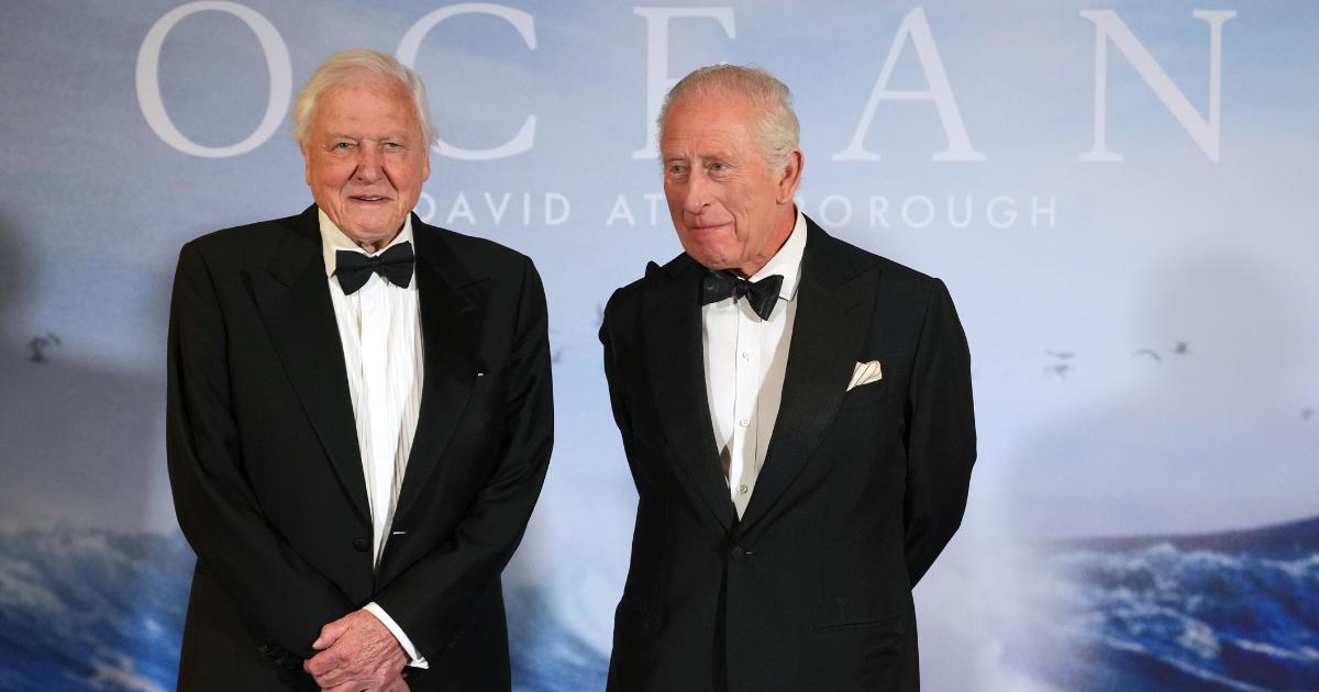 How to watch Ocean with David Attenborough on Disney+