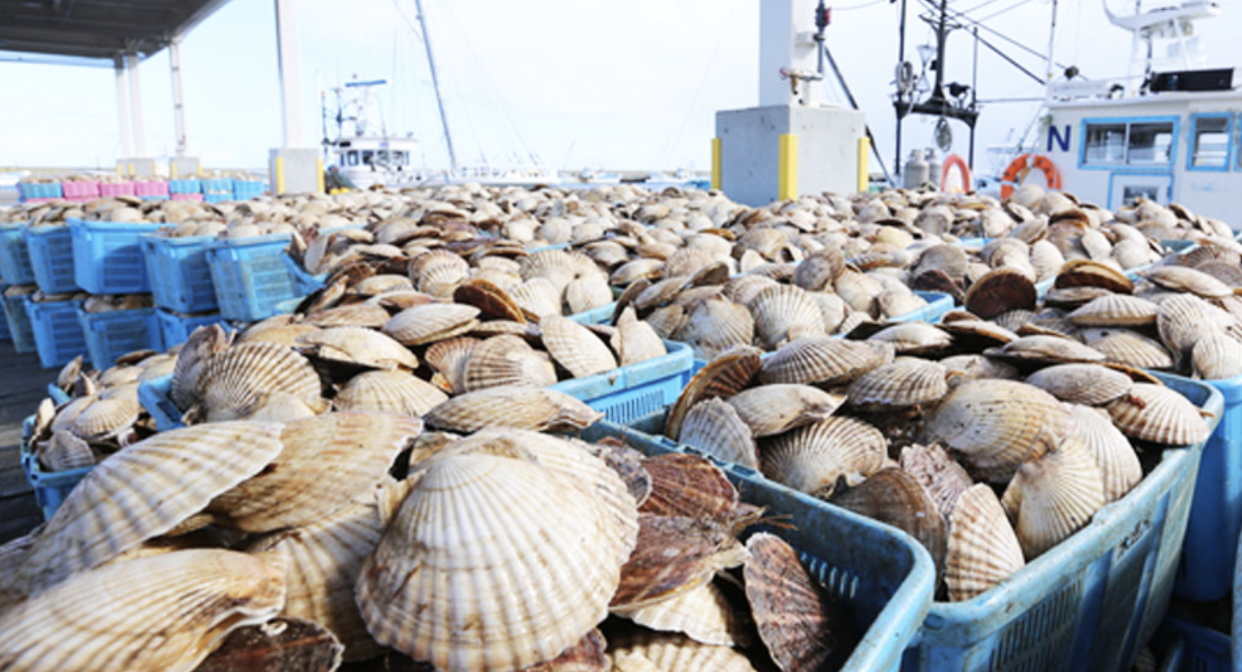 China ends blanket ban on Japanese seafood imports