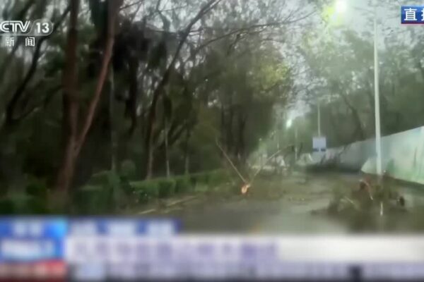 Strong wind and heavy rain as Typhoon Wutip nears southern China Yahoo news home