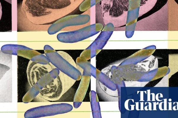 Nine ways to avoid food poisoning: microbiologists’ tips for safe, healthy eating | Well actually
