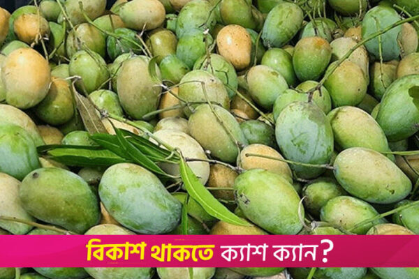 The surprising health benefits of mangoes, says nutritionist