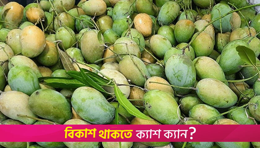 The surprising health benefits of mangoes, says nutritionist
