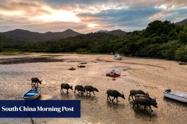 Groups warn poorly planned Hong Kong tourism projects will damage eco sites