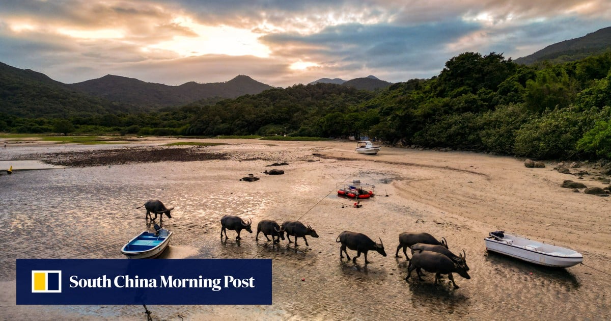 Groups warn poorly planned Hong Kong tourism projects will damage eco sites