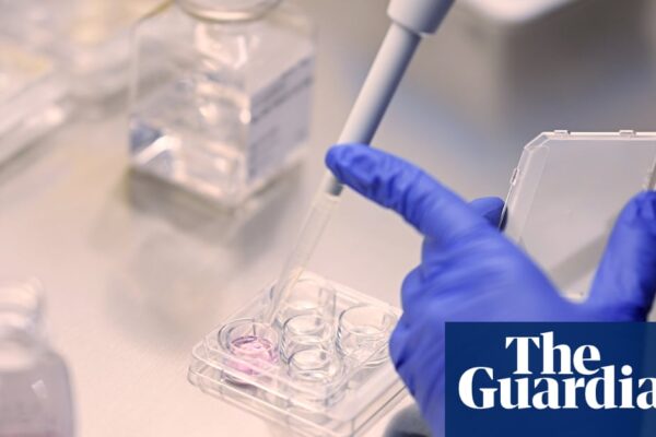 People having IVF should get time off work for appointments, say UK campaigners | IVF