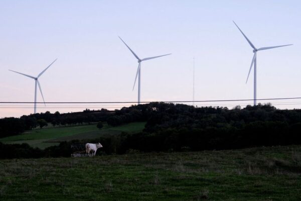 EU plans to add carbon credits to new climate goal, document shows Yahoo news home