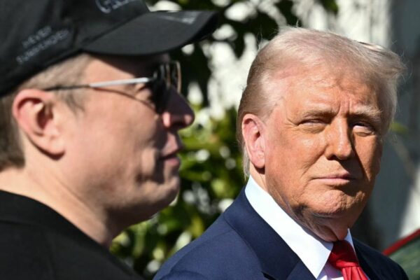 Musk Calls Trump's Bill 'Utterly Insane' As Senate Gears up for a Vote