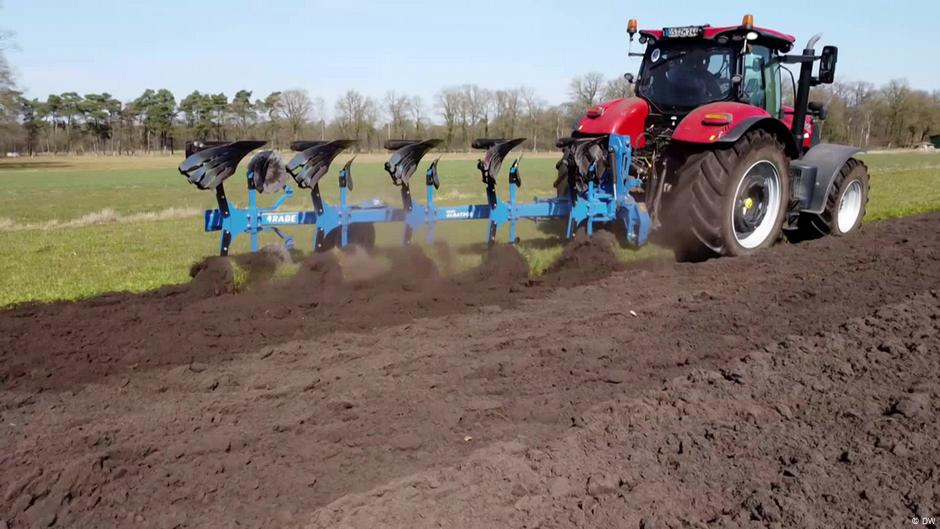 China invests in German agricultural technology – DW – 06/19/2025