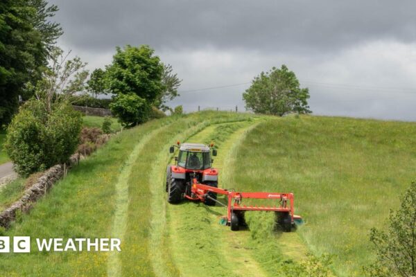 An orange and black tractor cutting a large grass field with dark clouds overhead