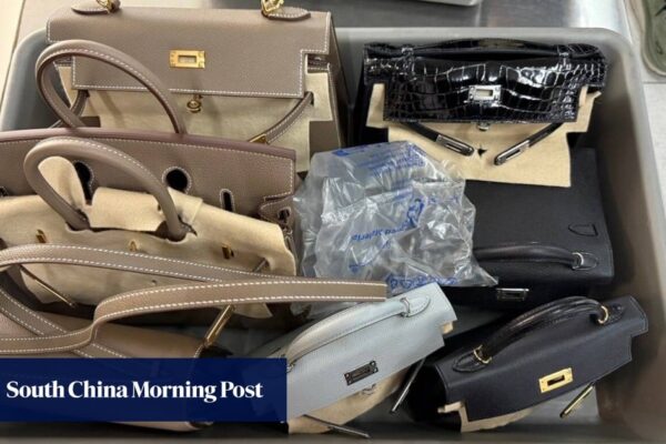 Man charged in connection with HK$3 million Hong Kong Hermes bag robbery Man charged in connection with HK$3 million Hong Kong Hermes bag robbery