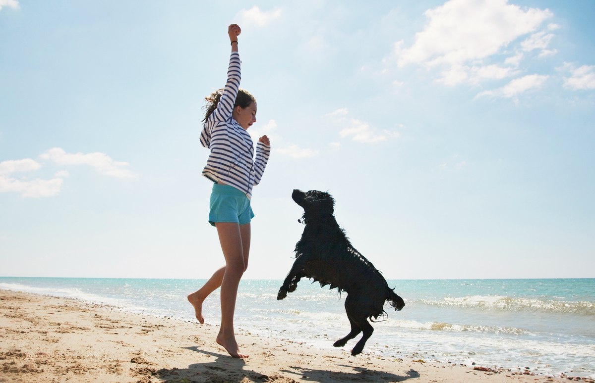 Top holiday types for people who travel with their pets