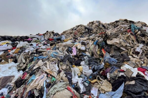 Op-Ed | Dear Fashion CEOs, Stop Undermining Climate Action