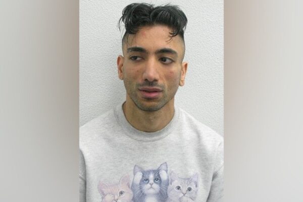 British paedophile charged over mock Disneyland wedding to child