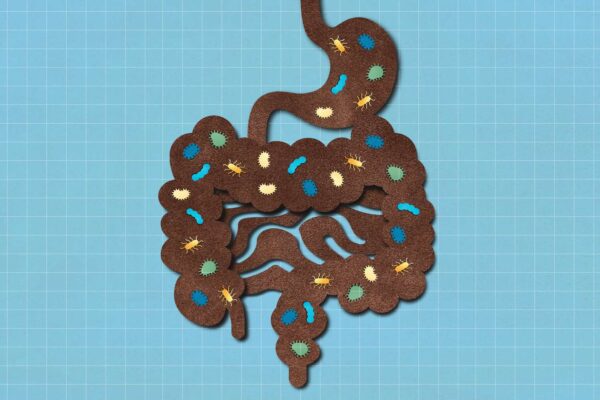 The #1 Snack for Better Gut Health