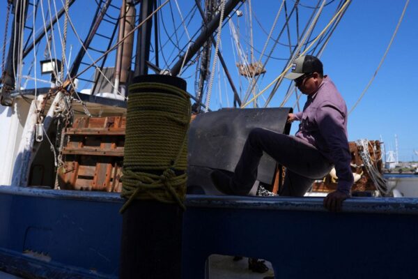 U.S. shrimpers feel uncertain about tariff impacts