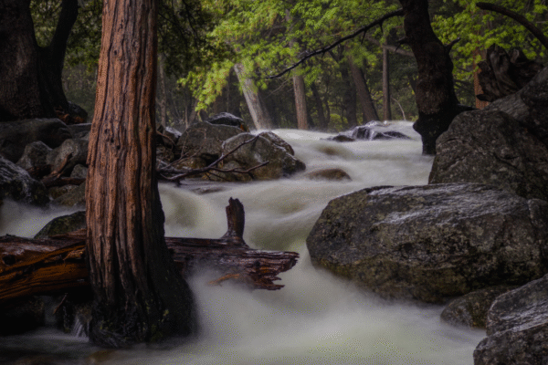 Adobe Project Indigo Sample Shot