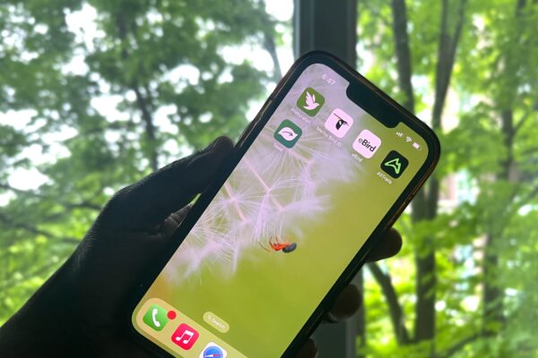 These 5 Free Apps Instantly Improved My Nature Photography