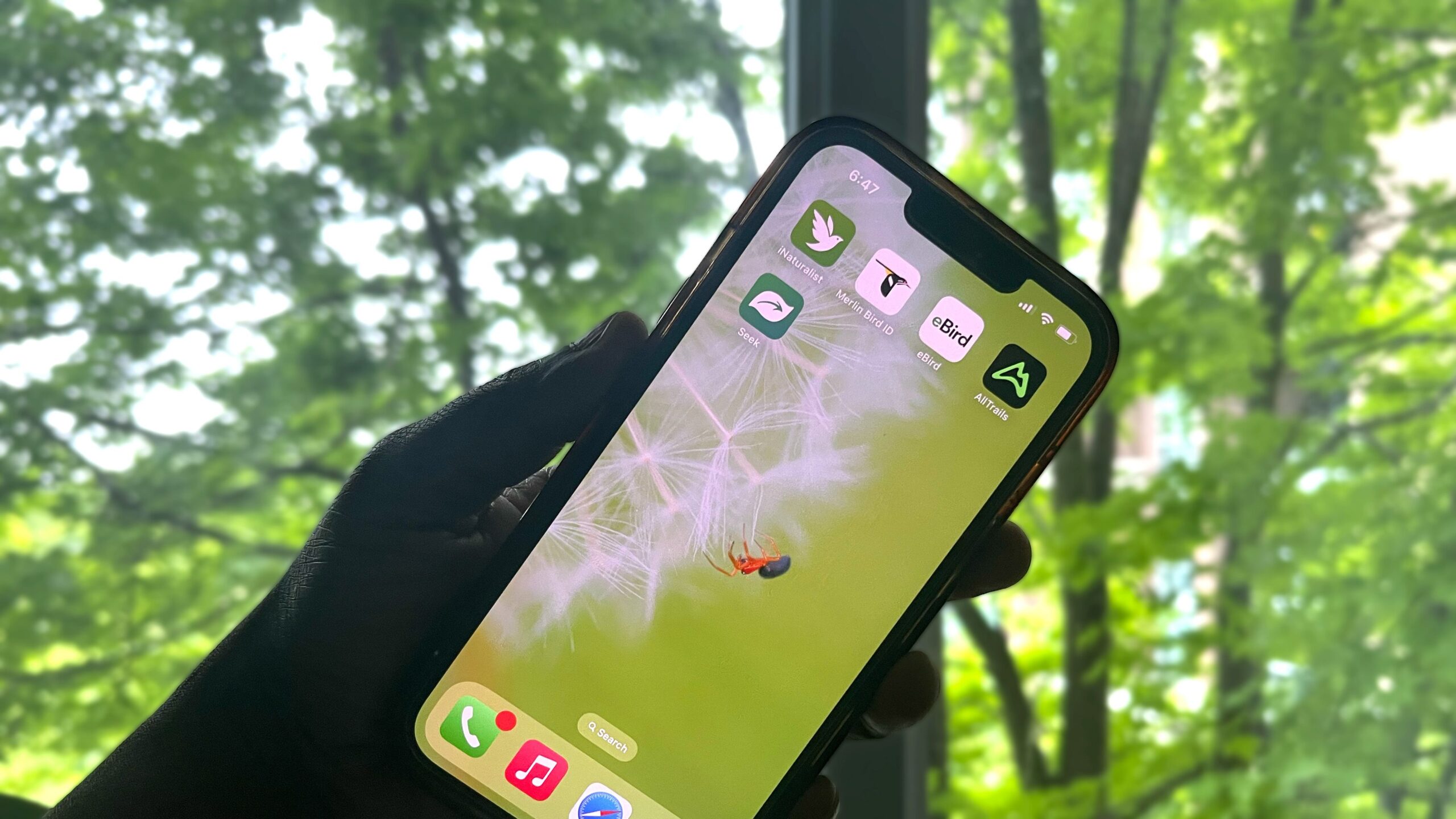 These 5 Free Apps Instantly Improved My Nature Photography
