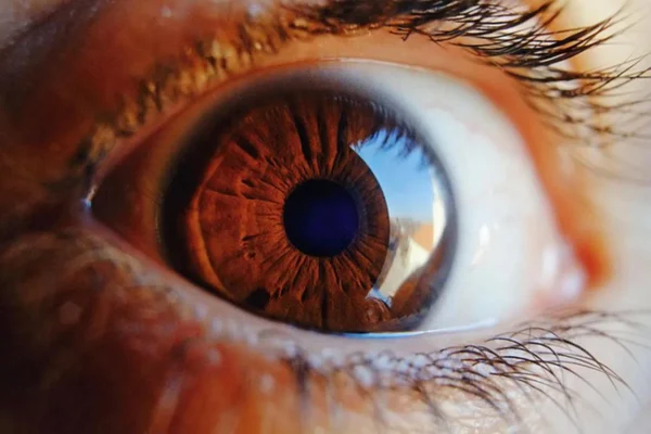 Sam Altman’s eyeball-scanning identification tech expands to UK