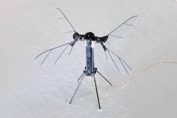 China's Military Introduces Mosquito Sized Drones A Game Changing Surveillance Technology