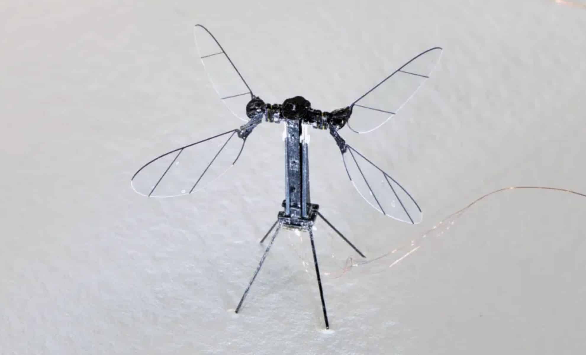 China's Military Introduces Mosquito Sized Drones A Game Changing Surveillance Technology