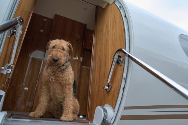 What to Know Before You Book