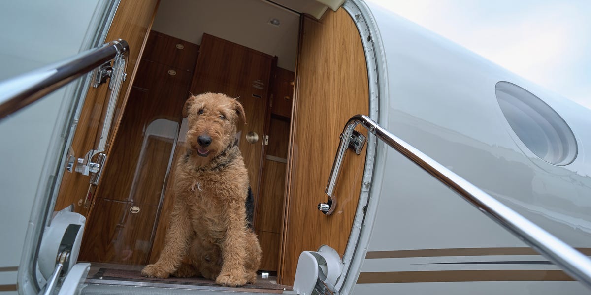 What to Know Before You Book