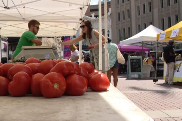 'Good Good Food' healthy eating campaign launches in Indianapolis