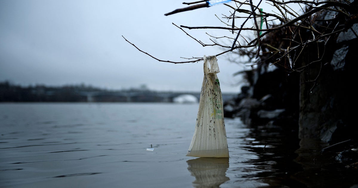 Do plastic bag bans and fees work? A new study says policies curb litter – by a lot