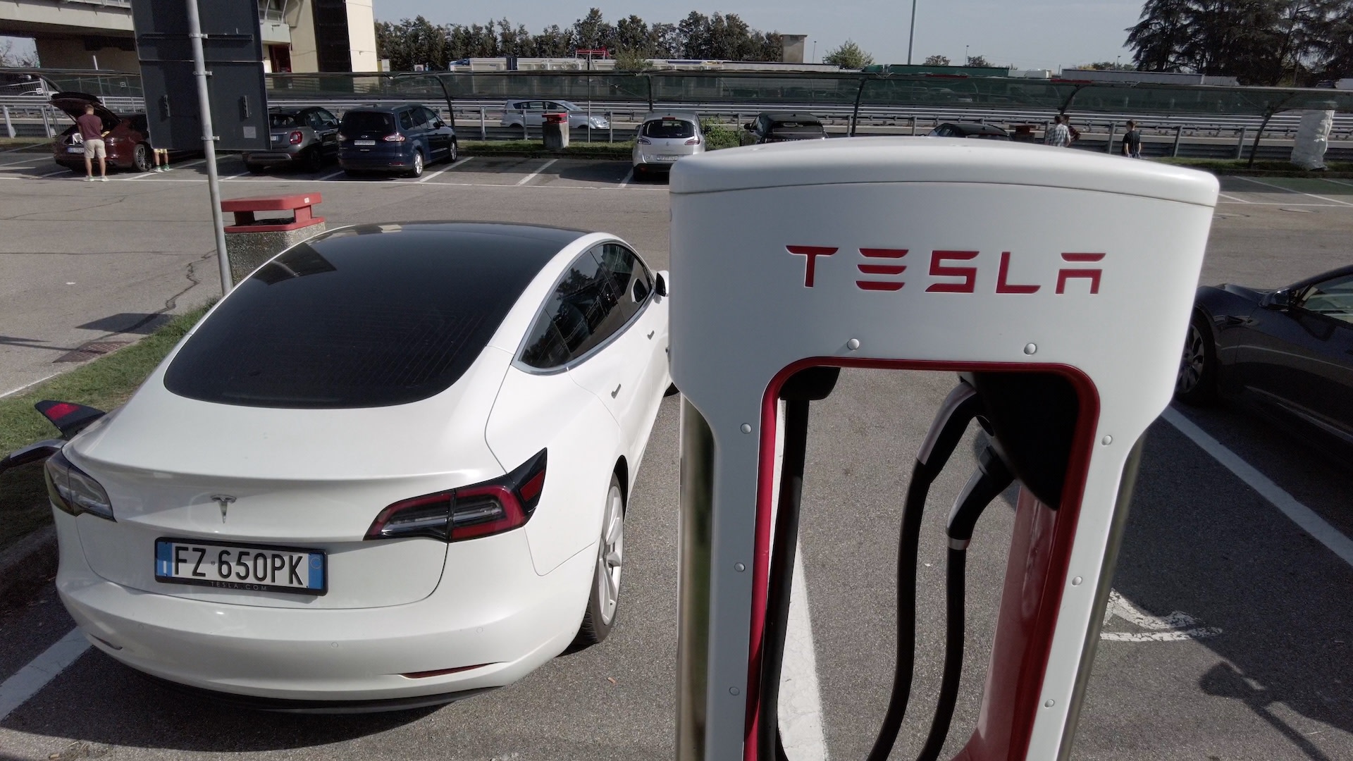 This news follows global trends of declining Tesla sales.