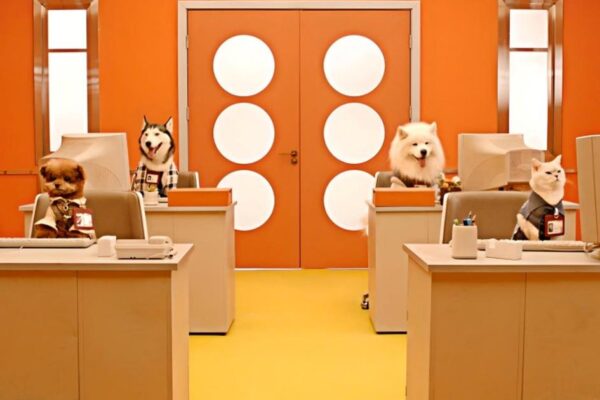 Why Chinese youth bet on pets and plushies as their new family | Opinions Why Chinese youth bet on pets and plushies as their new family | Opinions