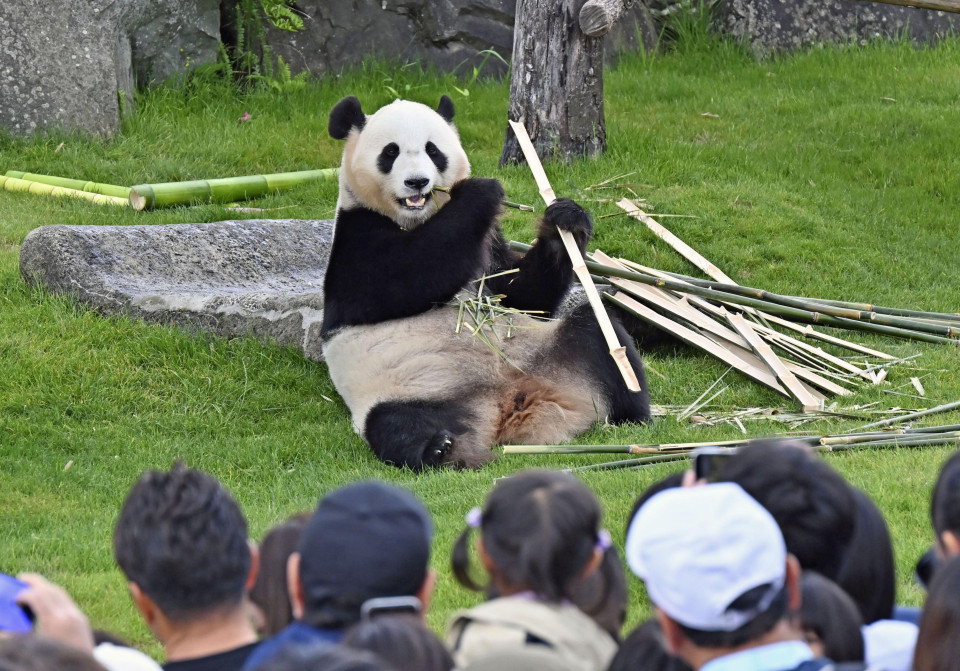 China's "panda diplomacy" in focus as zero moment may come in Japan