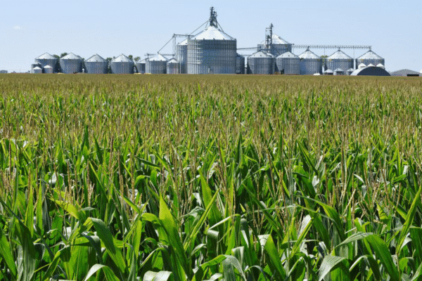 Chinese agroterrorism could severely disrupt US food supply, expert warns