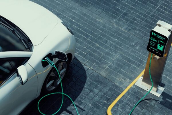 European Market Monitor: Cars and vans (May 2025)