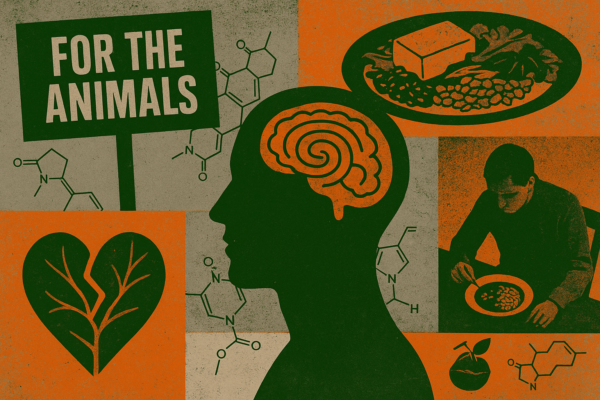 I wrote about veganism and mental health—and was stunned by how many people are suffering in silence – VegOut