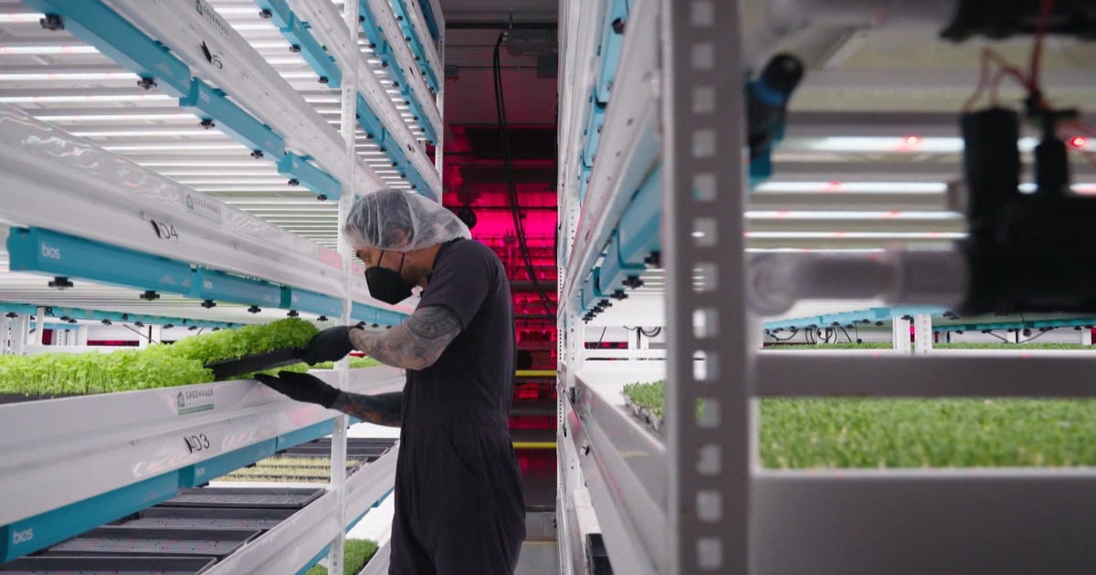 2 first-generation entrepreneurs are redefining farm-to-table dining
