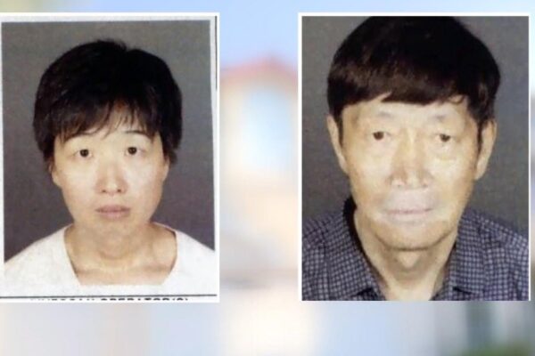 Couple investigated over potential surrogacy scam as 21 kids are now in protective custody