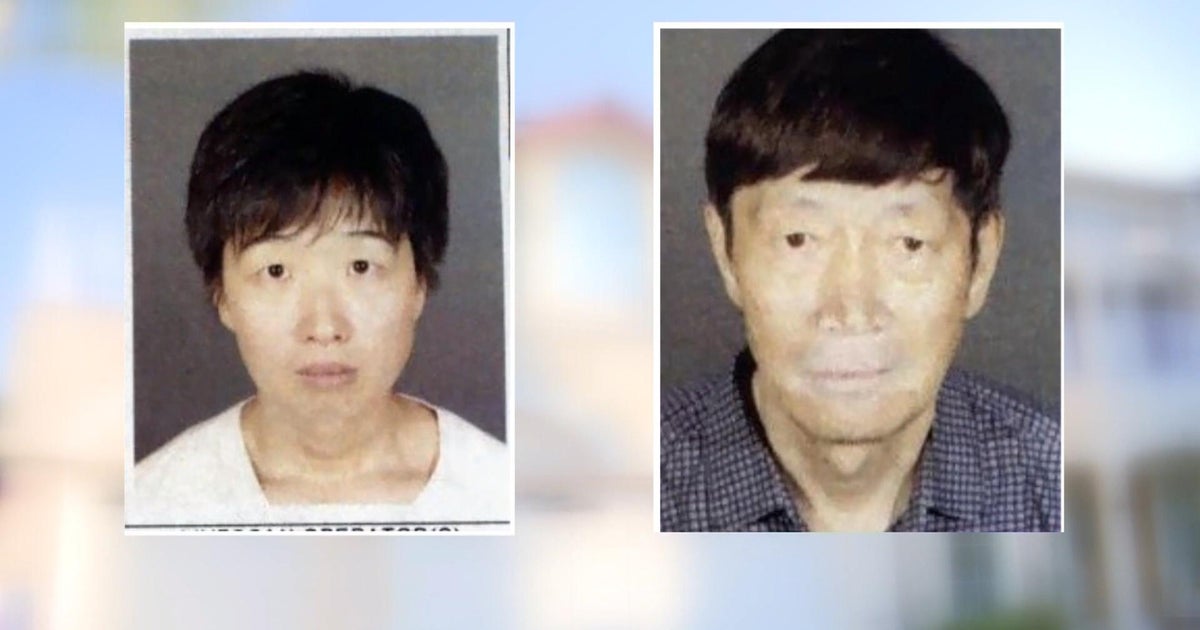 Couple investigated over potential surrogacy scam as 21 kids are now in protective custody