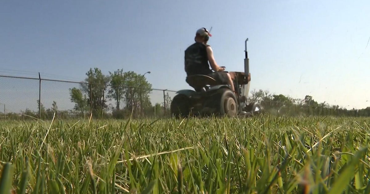 Detroit lawnmower gang still going strong after 15 years