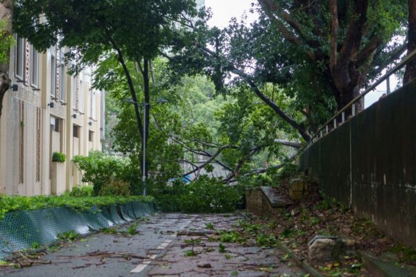 Vietnam Braces for Storm Wipha After Typhoon Lashes Hong Kong